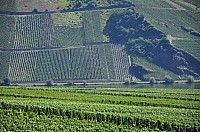 WRC-D 20-08-2010 089.jpg